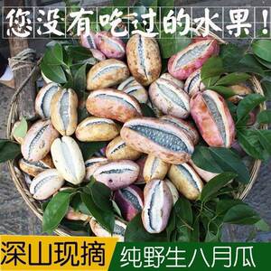 老虎布福娜罕见水果新鲜当季现摘整箱血藤果恶魔果3斤装八月瓜小熊