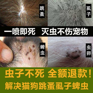 狗狗体外驱虫药品虱蚤清去螨虫猫咪体外驱虫猫狗除跳蚤蜱犬用喷剂
