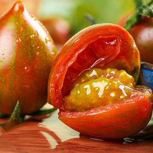 迷彩番茄种子小西红柿种籽紫千禧花皮圣女果花纹小番茄蔬菜种籽孑