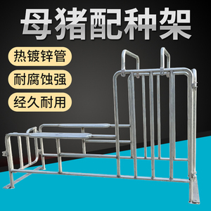 母猪配种架小母猪配种设备猪用矮脚配种神器热镀锌管母猪配种架子