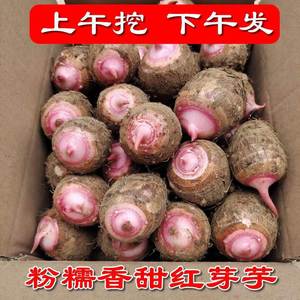 新鲜云南高山红芽芋头现挖红嘴小芋头农家香芋3/5斤红牙芋仔