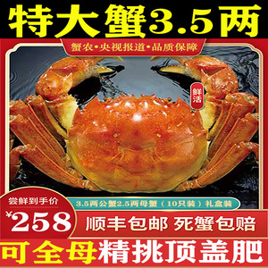 3.5两公蟹2.5两母蟹5对10只洪泽湖霸王蟹鲜活大闸蟹新鲜精品礼盒