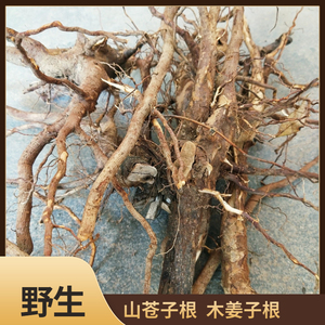 福建客家野生中草药山苍子根 山鸡椒 木姜子 野胡椒 手工砍断500g