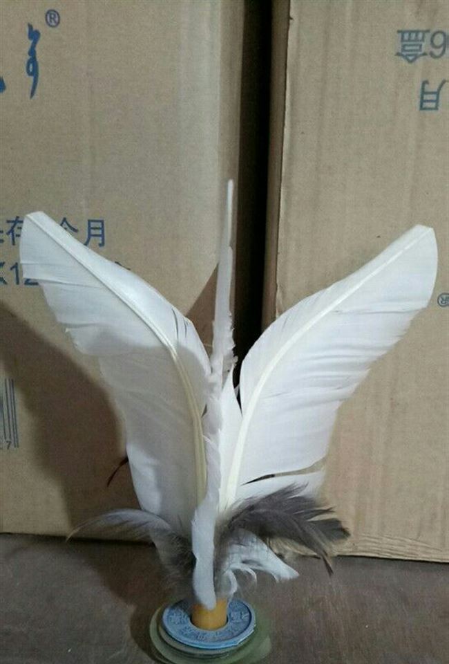 丹东福牌大白毽子防风毽快毽学生成人比赛用毽鹅毛耐踢10个起发