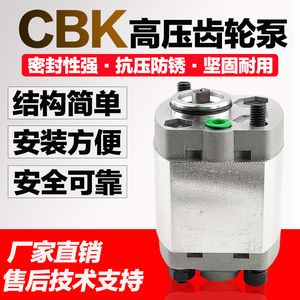 液压微型高压齿轮泵CBK-F1.6/2.1/2.6/3.2/5.8举升机动力单元油泵