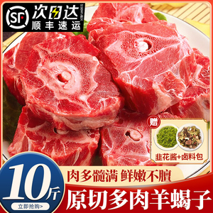 内蒙古羊蝎子新鲜带肉羊骨头生鲜多肉火锅10斤20斤羊脊骨商用羊肉