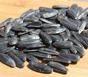 黑美人葵瓜子散装