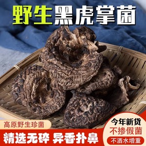 纯野生黑虎菌干货品级云南土特产菌菇野生菌蘑菇汤山珍食材