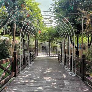 葡萄支架大外爬藤花架户院葡萄架铁艺拱门花支架庭架装饰铁线莲月