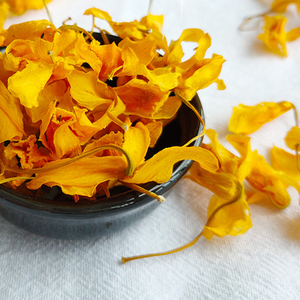 云南鼓槌石斛花