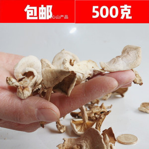 东北小白蘑菇阿尔山特产坝上白蘑兴安盟松树林野生口蘑小扣蘑250g