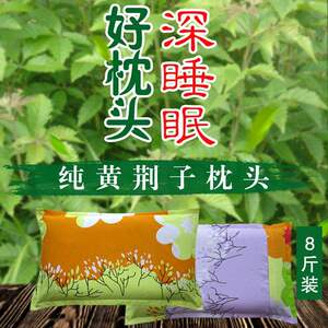布惊仁纯黄荆子枕头护颈椎成年保健枕头胜决明子荞麦枕8斤包邮