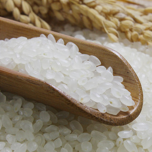 吉珍小町米 东北大米5kg东北绿色种植吉林小町