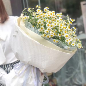 i全国上海鲜花速杭洋州菊花束小雏菊洋桔梗递甘南京苏州同城生日