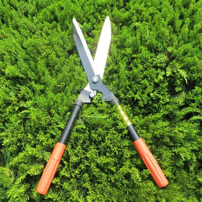 园艺修枝剪不绣钢花卉摘果专用花艺果树粗枝剪子家用园林大剪刀