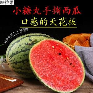 0036人付款淘宝特色水果拇指西瓜新鲜果250g迷你网红母子小瓜佩普基诺
