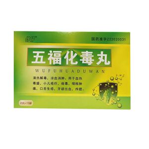 特研 五福化毒丸 20丸*10袋/盒 清热解毒凉血消肿血热毒盛咽喉肿痛
