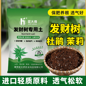 发财树专用土营养土杜鹃花茉莉花虎皮兰家用花土盆栽种植土壤肥料