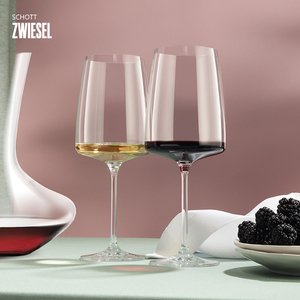 德国进口SCHOTT肖特进口水晶玻璃红酒杯高脚香槟杯家用葡萄酒杯
