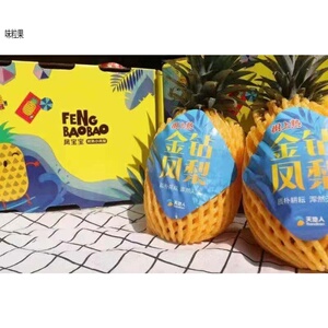 天地人台湾金钻凤梨