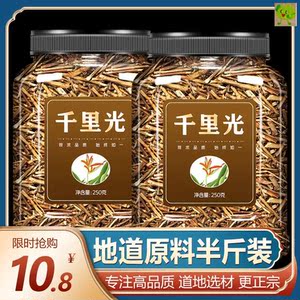 千里光中药材新鲜洗眼水泡水250g九里光中草药茶煮洗熏洗片九里明