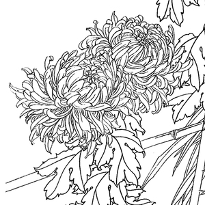 新笔画国画花鸟四条屏挂画初学者临摹勾线j四尺宣纸过稿diy装饰画