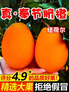 重庆奉节脐橙纽荷尔福本新鲜水果当季橙子现摘10斤20当季大果