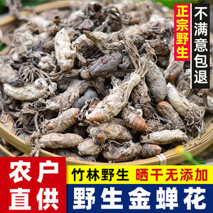 新货广东河源野生金蝉花250g正品蝉花虫草粉金蚕花知了花煲汤泡酒
