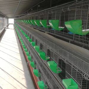 2021新款兔笼加密加重9位母兔笼 特大号兔笼子 免清粪兔笼养殖笼
