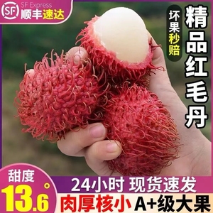 【精选】海南红毛丹新鲜热带毛荔枝水果现摘红毛果毛丹果1斤包邮