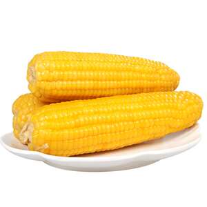 【禾久】富硒白糯 粘糯玉米拍4根白加送2根富硒黄 均重300g左右