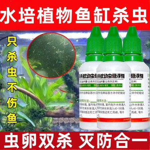 水培植物杀虫剂鱼缸池塘睡莲富贵竹水中生物灭蚊子幼虫卵孑孓的药