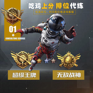 刺激战场陪打