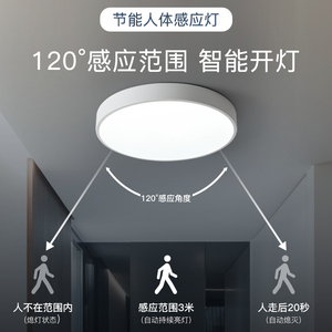 雷达人体感应灯智能吸顶灯LED过道走廊灯具楼梯灯楼道玄关声控灯
