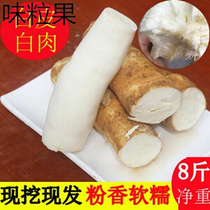 广西特产白皮白肉面包木薯新鲜现挖红薯蜜薯粗粮树薯粉香番薯包邮