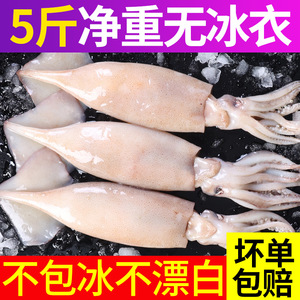大鱿鱼生鲜整只冷冻新鲜鱿鱼须铁板烧烤食材商用批发海鲜鲜活水产