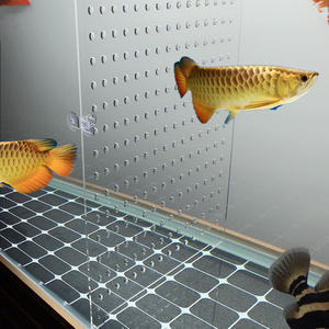 鱼缸隔离板亚克力鱼缸内档板隔离网龙鱼加厚定制透明隔断板小鱼苗