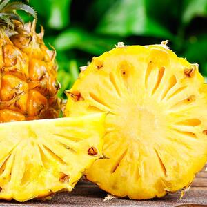 广东湛江徐闻水菠萝海10当季现摘新鲜水果非泰香klg国南斤小凤梨