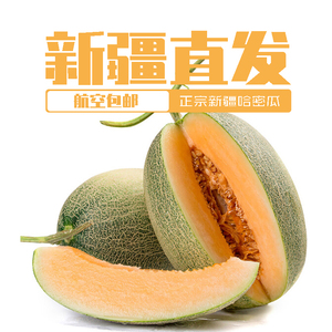 西州蜜蜜哈密瓜