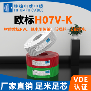 胜牌VDE欧标H07V-K 1.5 2.5 4.0平方RV家用电线多股铜芯软电缆线