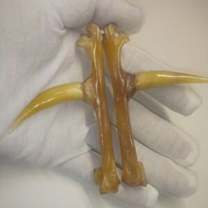 骨头文玩手把件