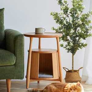 长生树盆栽-淘宝拼多多热销长生树盆栽货源拿货 - 阿里巴巴货源