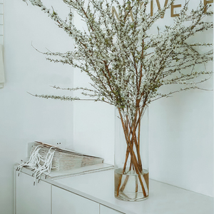 雪柳花瓶玻璃透明龙柳鲜枝高款插花长枝干枝插树枝干支龙柳枝花瓶