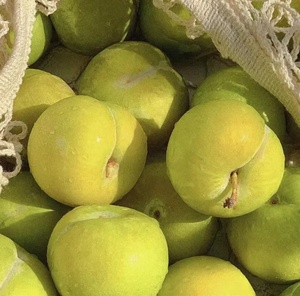 【沙子空心李】沙子空心李品牌,价格 - 阿里巴巴