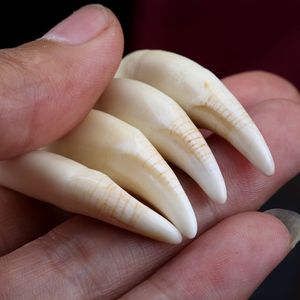 霸气狼牙吊坠项链真品真狼牙牙齿男女士个性饰品挂坠上牙带血横纹