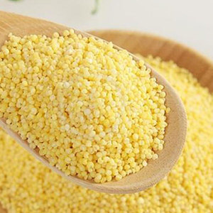 贵州特产糯小米五谷杂粮 米黏黄小米小黄糯米粥小