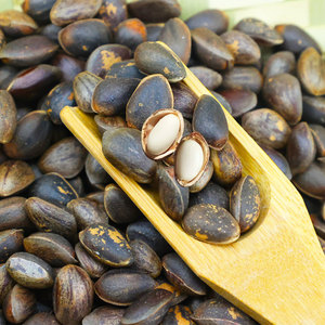 云南特产新鲜生松子500克原味 新货不开口薄壳落水松籽坚果仁HXSE