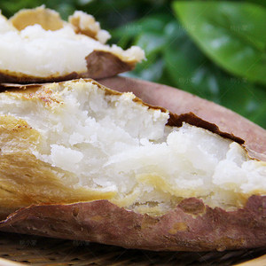 桃小蒙白心牛奶冰糖薯 山东新鲜地瓜白薯哈密薯生鲜番薯蜜薯 5斤