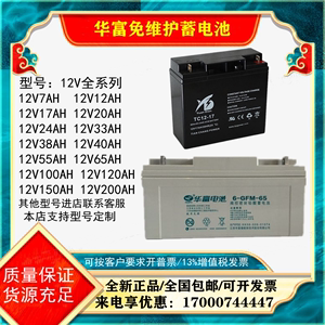 华富储能胶体蓄电池6-CNJ/GFM12V7A24A38A40A65A100消防直流屏EPS