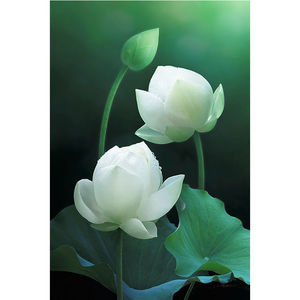 900人付款淘宝中国风贴纸墙贴画莲花禅意画贴纸客厅玄关墙面装饰画